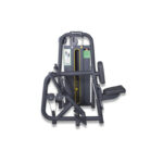 discovery line horizontal rowing machine