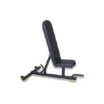 bench line basic multi position bench